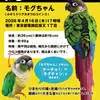 迷子鳥の画像