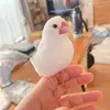 迷子鳥の画像